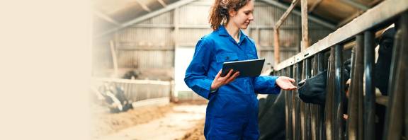 Hoofdafbeelding mobiel