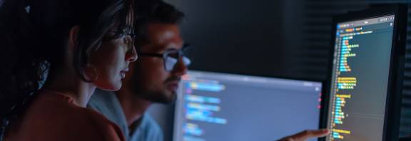 Cyber security experts