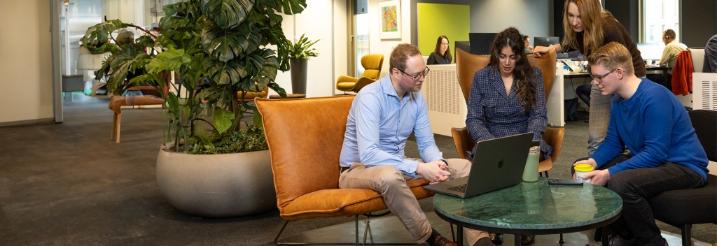 Succesvolle implementatie en testing van ERP-, HR- en payrol...